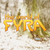 :iconworld-of-fyra: