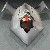 :iconWorldPax: