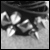 :iconwormbaby:
