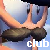 :iconwormsclub: