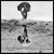 :iconwormwaswood: