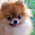 :iconwormy123: