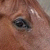:iconwornoutjeans: