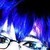 worshipthechurch :iconworshipthechurch: