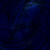 :iconworshipthesquid: