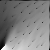 :iconwounded-witch: