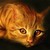 :iconwovennature: