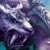 Wowfan34 :iconwowfan34: