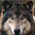 :iconwraith1257: