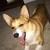 :iconwrath1119: