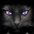 :iconwrathdollie: