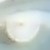 :iconwright764:
