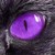 :iconwrite-a-lot: