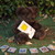 :iconwrite2you: