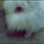 :iconwriteninthestarss: