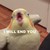 Writer122 :iconwriter122: