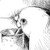:iconwriterda: