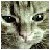 :iconwritingalovesong: