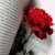:iconwritingisanarttoo: