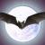 :iconwrittenimage: