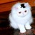 :iconwrongnote: