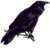 :iconwrottencherryw:
