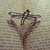 :iconwstydliwa-awangarda: