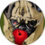 :iconwtfpugs: