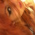 :iconwudupop: