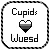 :iconwuesd: