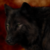 :iconwuestenasche: