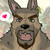 :iconwulfer-shepherd: