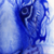 :iconwulfgecko: