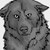 :iconWulfheart101: