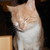 :iconwurmiii: