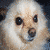 :iconwutevrnjunk: