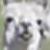 :iconwuzme: