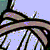 :iconwuznotwuzzles: