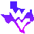 :iconwvutexan: