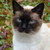 ww1065 :iconww1065: