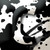 :iconwwcrap: