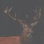 :iconwygazowana:
