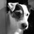:iconwyldchilde79: