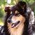 :iconwyldfyre404: