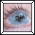 :iconwyntershadow: