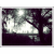 :iconwyria: