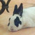 :iconwyteruse: