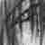 :iconwyv3rn: