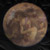 :iconwyvern-elavie: