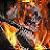 :iconwyvern-rider: